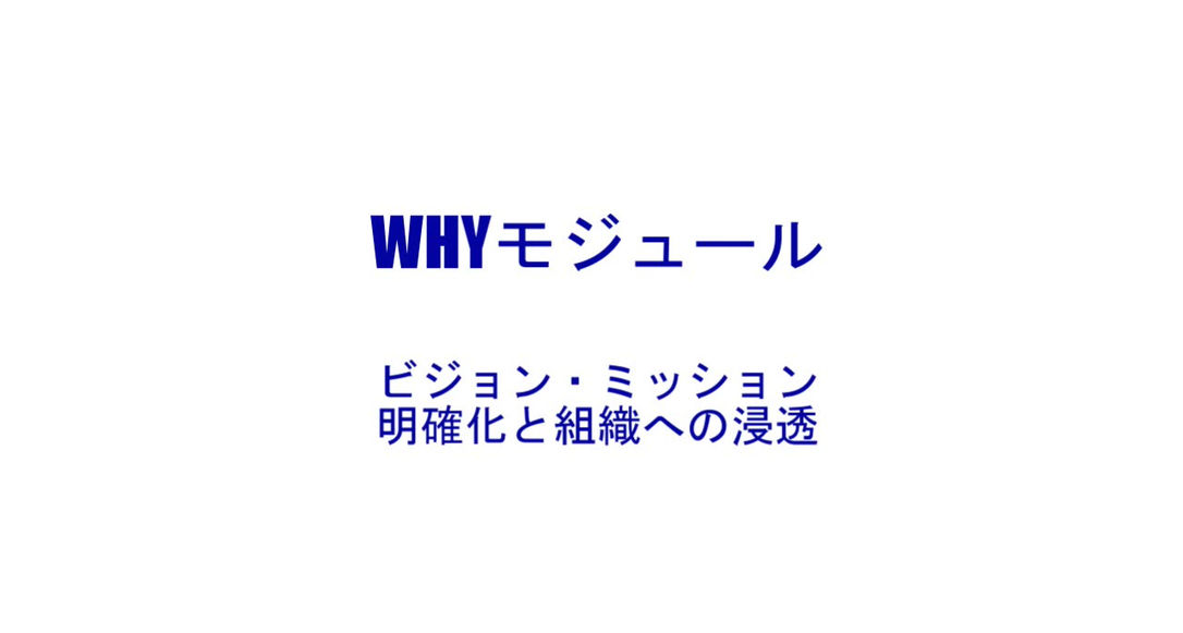 OPEX1-2_why